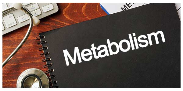 What Can You Do to Improve Your Metabolism Near Me in Gaithersburg MD, Takoma Park MD, and Rockville, MD