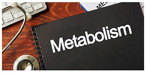 What Can You Do to Improve Your Metabolism Near Me in Gaithersburg MD, Takoma Park MD, and Rockville, MD
